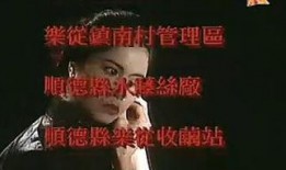 自梳 在线观看,揭秘女性独立自主的传奇人生