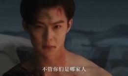 残酷之门载具爆料视频在线观看,揭秘神秘载具性能与外观